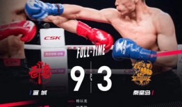 -今日大赛完整版,精彩纷呈，巅峰对决